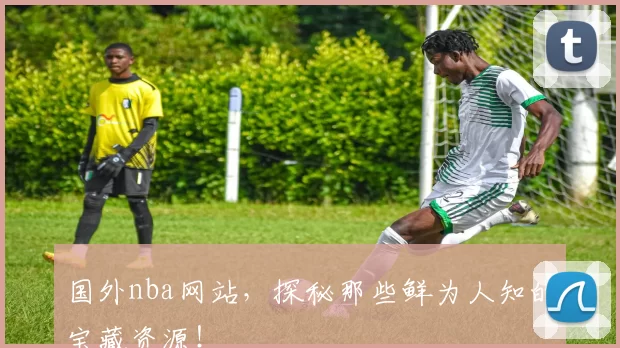 国外nba网站，探秘那些鲜为人知的宝藏资源！