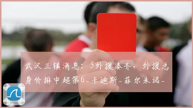 武汉三镇消息：5外援凑齐，外援总身价排中超第6_卡迪斯_菲尔米诺_助攻