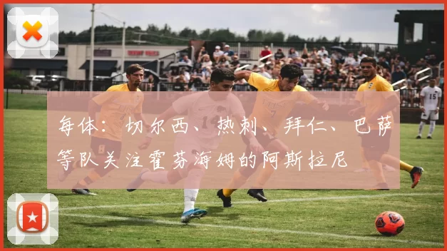 每体：切尔西、热刺、拜仁、巴萨等队关注霍芬海姆的阿斯拉尼