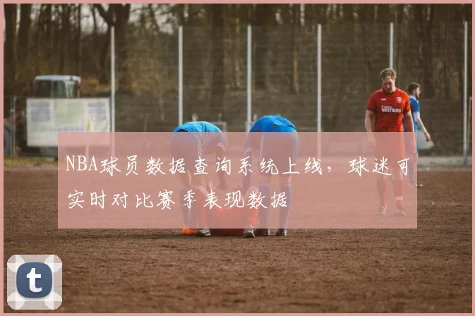 NBA球员数据查询系统上线，球迷可实时对比赛季表现数据
