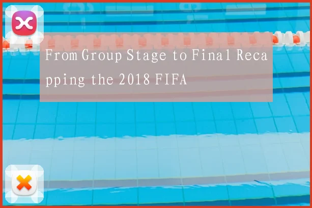 From Group Stage to Final Recapping the 2018 FIFA